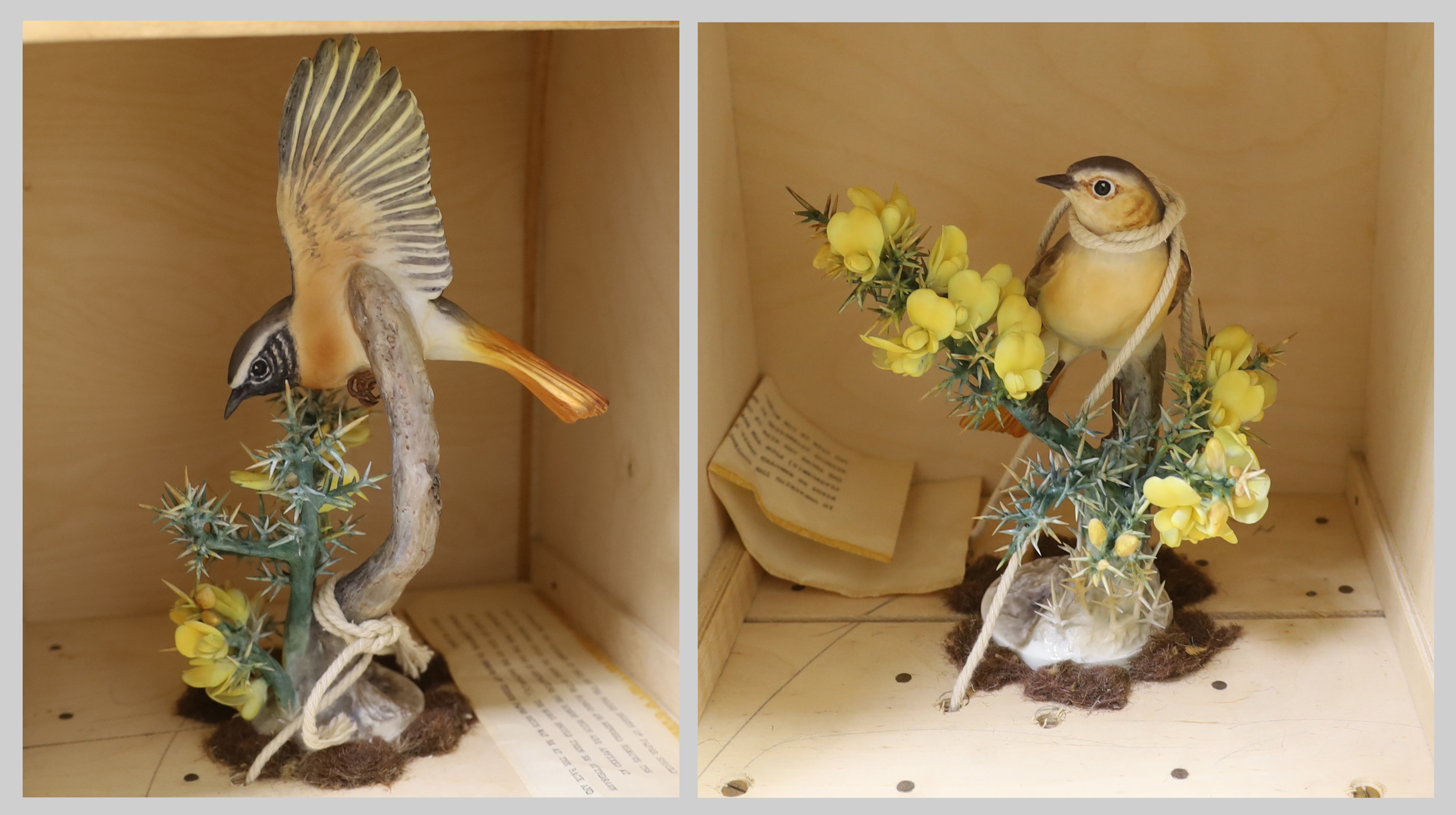 A Royal Worcester Redstart Hen and Cock and a Royal Worcester ‘Hibiscus’ with boxes and framed certificates (3)